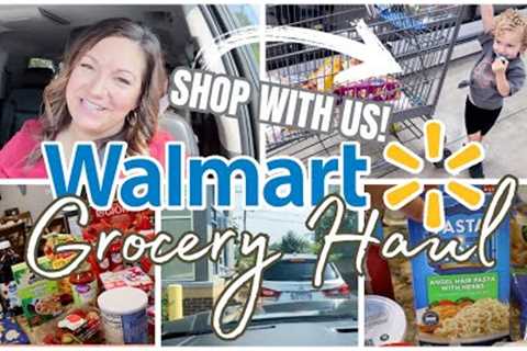 WALMART SHOP WITH ME + GROCERY HAUL | NEW AT WALMART | GROCERY HAUL + MEAL PLAN