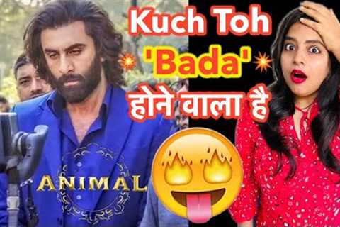 Ranbir Kapoor is Genius - Animal Satranga Song REVIEW | Deeksha Sharma