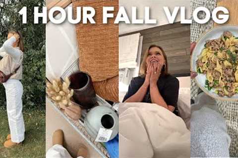 1 HR VLOG: fall walmart shopping with mom, cutest surprise, lazy stroganoff recipe &amp; I was on..