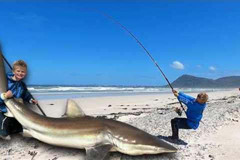Kid catch and release massive Shark from the beach! 11 Year old did a great  job landing this Shark!