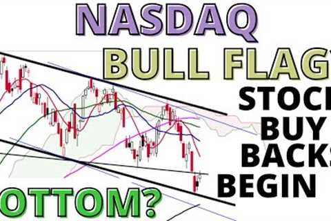 Stock Market CRASH: NASDAQ &amp; S&amp;P500 Forming Bull Flag Continuation Patterns -Company Buy..