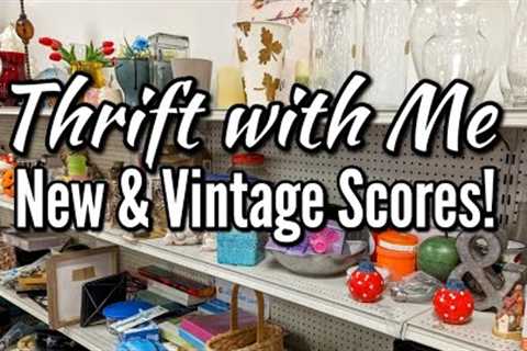 SUCH A COOL FIND! THRIFT WITH ME AT GOODWILL + NEW &amp; VINTAGE THRIFTED HAUL!