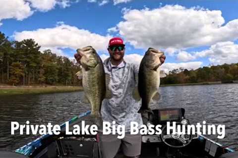 Private Lake Big Bass Hunting (FIshing with my sons)