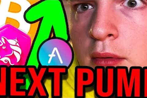 THESE ALTCOINS WILL PUMP NEXT!!! (new phase starting)