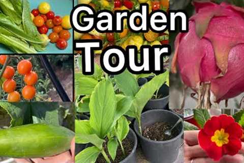Fall Garden Tour Tomatoes Kale Collard Raised Bed Container Gardening Preparing for Winter &amp;..