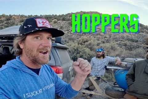 October Hoppers