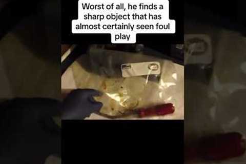 Scary Dark Web Mystery Box Openings By YouTubers😳 #shorts