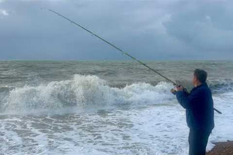 RARE to Catch This fish here!