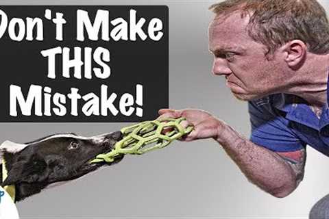 The BIGGEST Mistake People Make When Teaching A Puppy To Drop Things