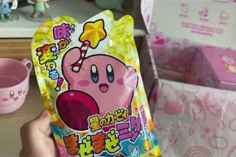 Kawaii Box Subscription Box Unboxing - November 2023