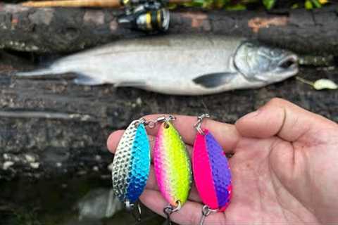 EASIEST WAY To Catch COHO Salmon (Lure Fishing)