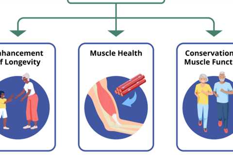 Calorie restriction in humans builds strong muscle and stimulates healthy aging genes – NIA