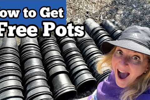 Container Gardening, How to Get Free Pots for Growing a Portable Vegetable Garden in Flower Pots