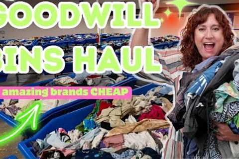 Huge Haul FANTASTIC BRANDS That Sell $ ~ GOODWILL OUTLET BINS Thrift HAUL TO RESELL on Ebay