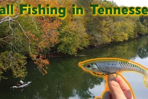 Fall River Fishing for BIG Smallies