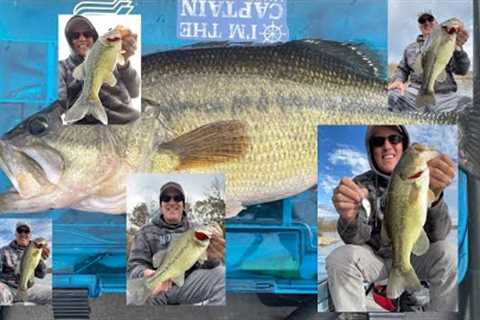 Fishing Report - Louisburg Middle Creek State Fishing Lake 11/2023