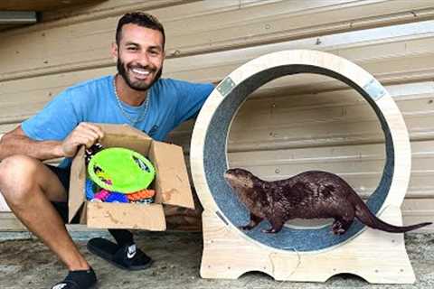 GIANT Hamster Wheel for OTTERS!