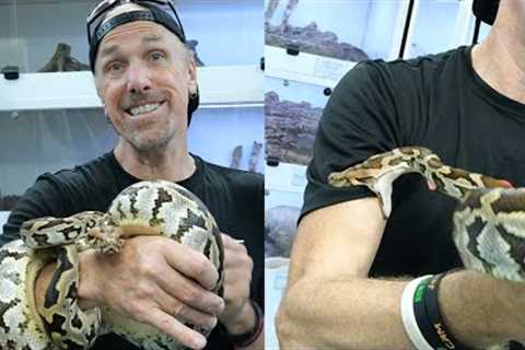 Let's Try Not To Get Bit - Tips &amp; Tricks To Understanding Snake Behavior