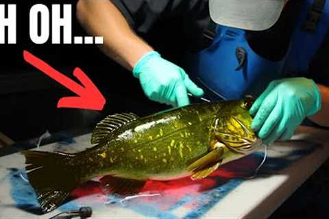 This STUDY Reveals Our BIGGEST Fishing FEAR