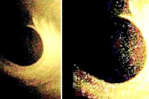 NASA Just Accidentally Detected Something Massive That Showed Up Next To Our Sun Today
