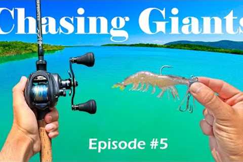 I Had 27 Days to Catch a Giant. (Chasing Giants Ep #5)