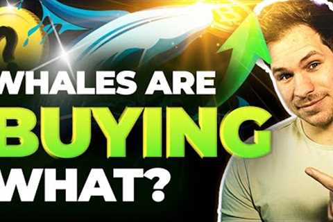 GET READY!! 2 Altcoins Massive Crypto Whale Accumulation