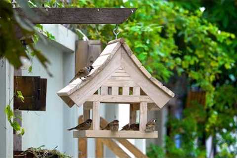 DIY Homemade Wooden Bird Feeder - DIY Woodworking Projects