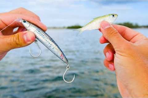 I Did Not Expect This... Fishing Live Bait &amp; Lures