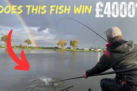 FISHING LIVE - THE FINAL!!!! - CAN WE WIN £4000 TOP PRIZE?