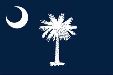 Are Tasers Legal in South Carolina? What You Should Know