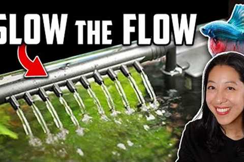 How to Slow Aquarium Water Flow for Betta Fish &amp; Baby Fry