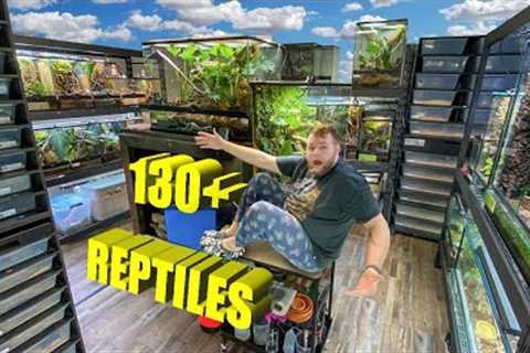 REPTILE ROOM TOUR NOVEMBER 2023!! +130 Reptiles