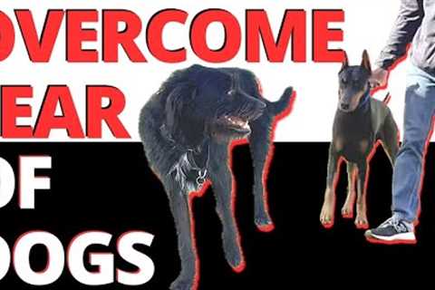 Avoidance of Other Dogs has Caused Fear &amp; Trepidation. Safe Meetings is the Cure. Learn my..