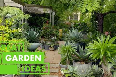 Container gardening 101 | GARDEN | Great Home Ideas