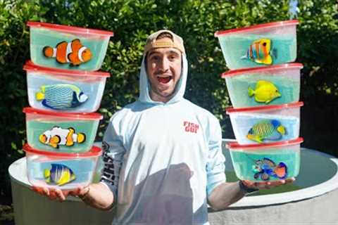 I Bought $500 Worth of Aquarium Fish...