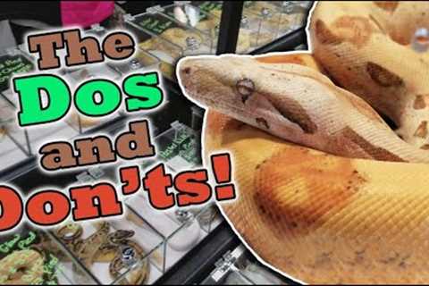 How to Shop at a Reptile Expo!
