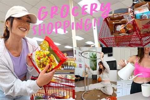 Grocery Shopping at Trader Joe's + New Home Furniture!!