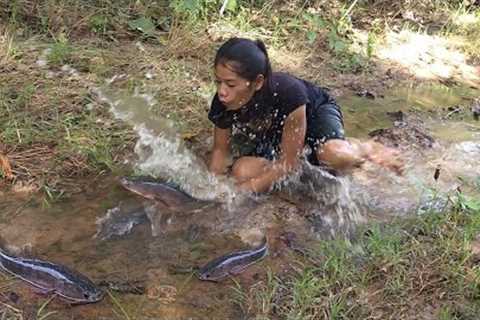 Catch fish in the rainforest for survival food - Fish spicy curry eating delicious