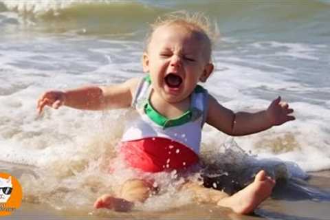 Top 101 Funniest Babies Trouble Maker - Funny Baby Videos || Just Funniest