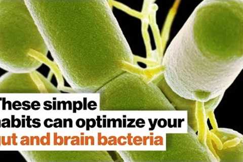 How to optimize your gut and brain bacteria | Dave Asprey | Big Think