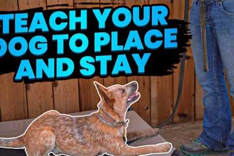 Effortlessly Teach Your Dog Place and Stay with These Simple Techniques
