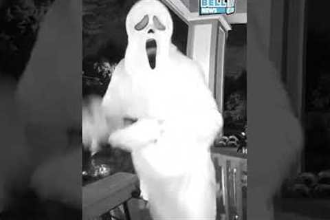 Scream Mask Steals My Ring Doorbell