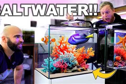 First EVER Saltwater Tanks in the Studio!!