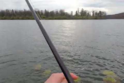 FISHING A LOCAL LAKE IN NOVEMBER #fishing #trending #viral #wading