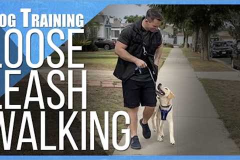 Say Goodbye to Leash Pulling: How to Train Any Dog to Walk Nicely