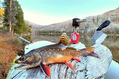 Fishing a HIGH Mountain Lake FILLED with Trout!!! (Catch &amp; Cook)