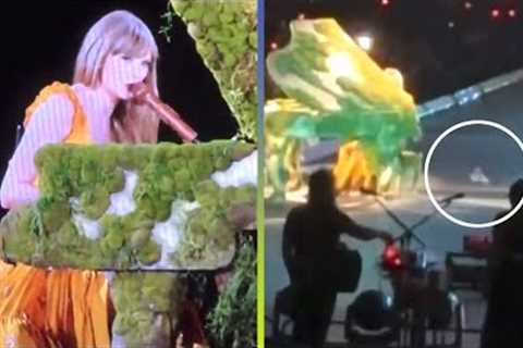 Taylor Swift REACTS to Fan Throwing an Object Onstage