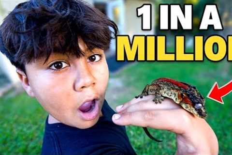 Touring The RAREST REPTILE COLLECTION In The WORLD!