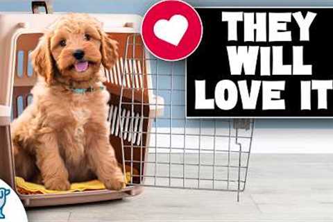 Get Your Puppy Comfortable With Their Crate
