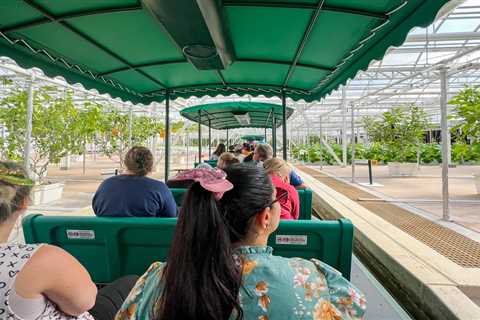 Underrated Gems at Walt Disney World Resort That You Need to Visit